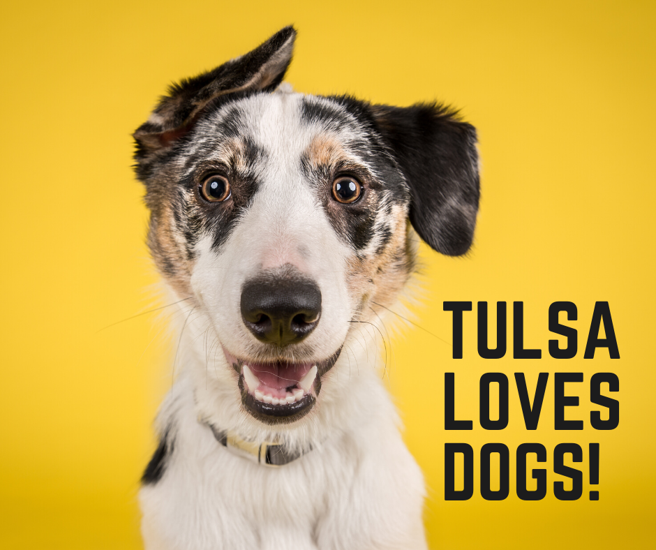 Dog Friendly In Tulsa, Oklahoma