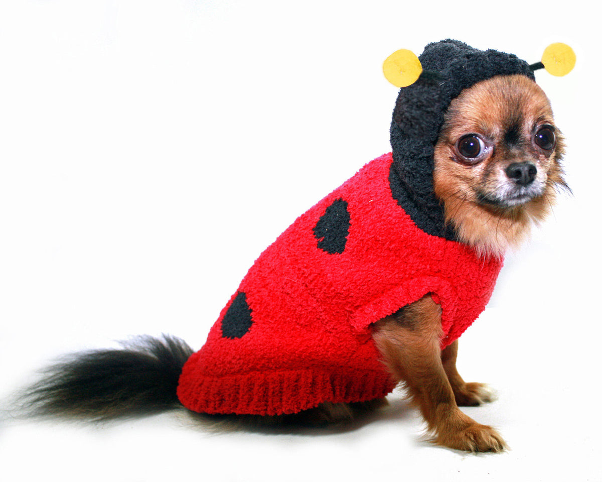 Barker's Bowtique - Sweater Lady Bug Chenille