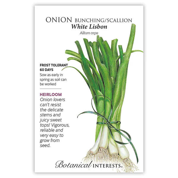 Onion Bunching (white) Lisbon Seeds