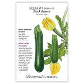 Squash Summer Black Beauty Seeds