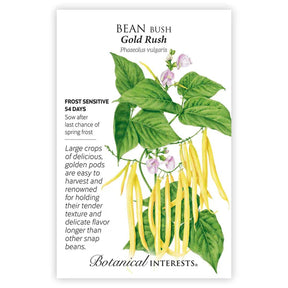 Bean Bush (Yellow) Gold Rush Seeds