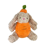 Carrot Rabbit Dog Toy
