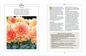 2025 Old Farmer's Almanac Flower Gardener's Handbook