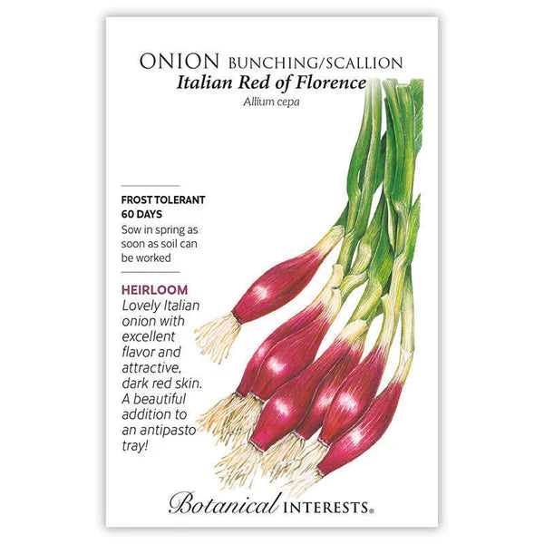 Onion Bunching (red) Italian Seeds