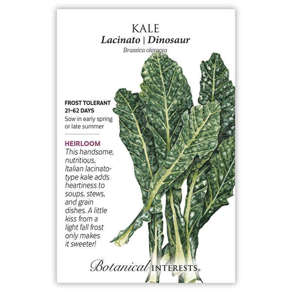 Kale Italian Lacicato Dinosaur Seeds