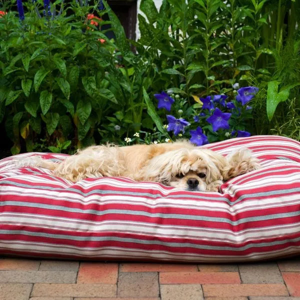 Carolina Pet - Solid Indoor/Outdoor Rectangle Dog Bed Striped