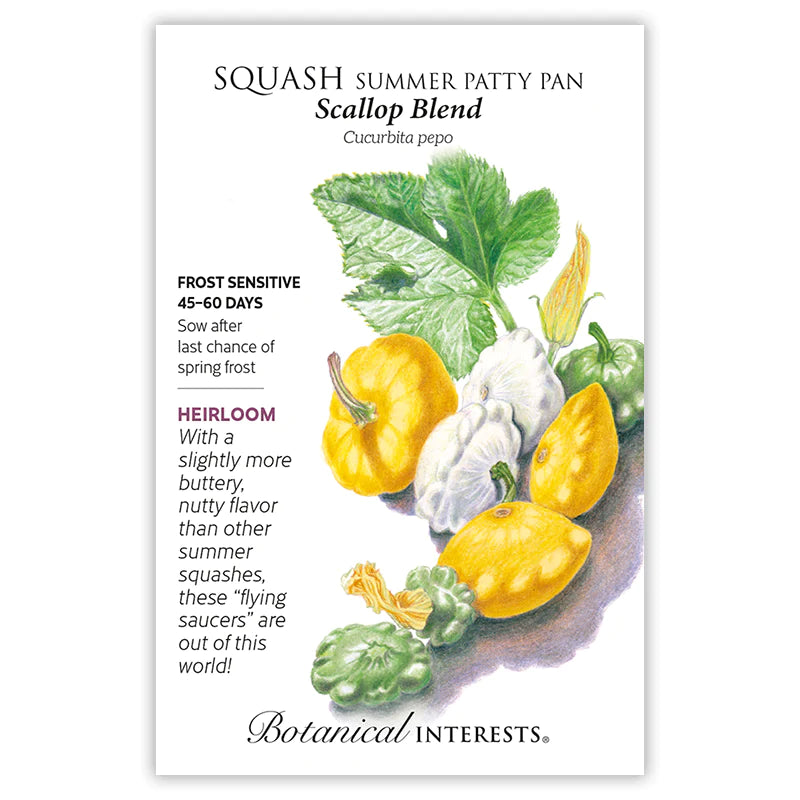 Squash Summer Scallop Blend Seeds