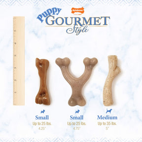 Nylabone - Gourmet Style Puppy Wishbone PB & Femur Bone Bacon