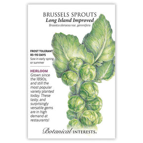 Brussels Sprouts Long Island Seeds