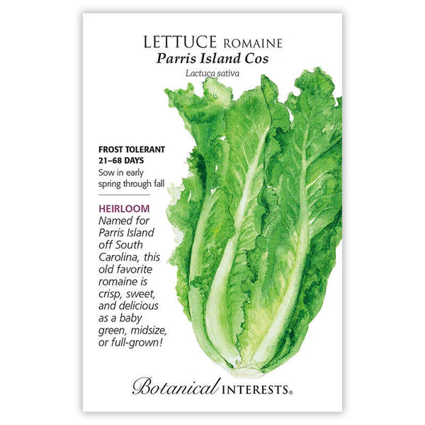 Lettuce Romaine Parris Island Seeds