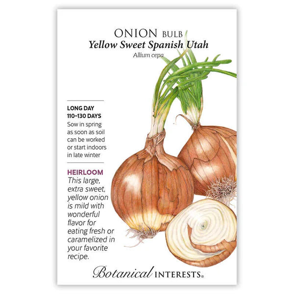 Onion Bulb (yellow) Sweet Spanish UT (LD) Seeds