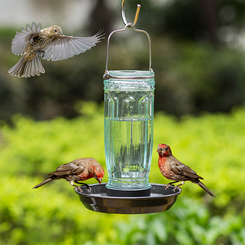 Kingsyard Glass Waterer Bird Feeder