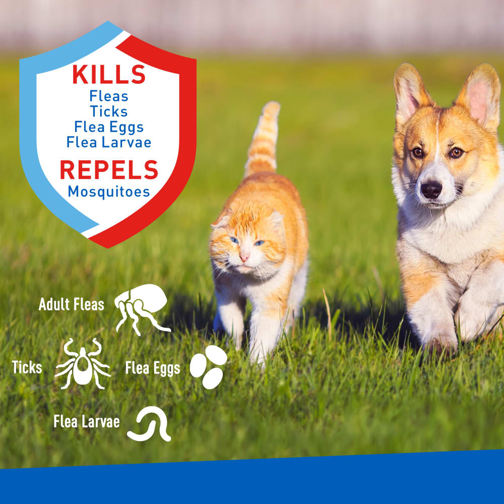 Adams Plus -  Flea & Tick Spray