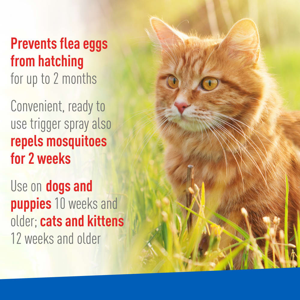 Adams Plus -  Flea & Tick Spray
