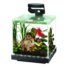 Aqueon - Betta LED Light-USB or Battery