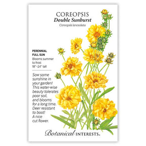 Coreopsis Double Sunburst Seeds