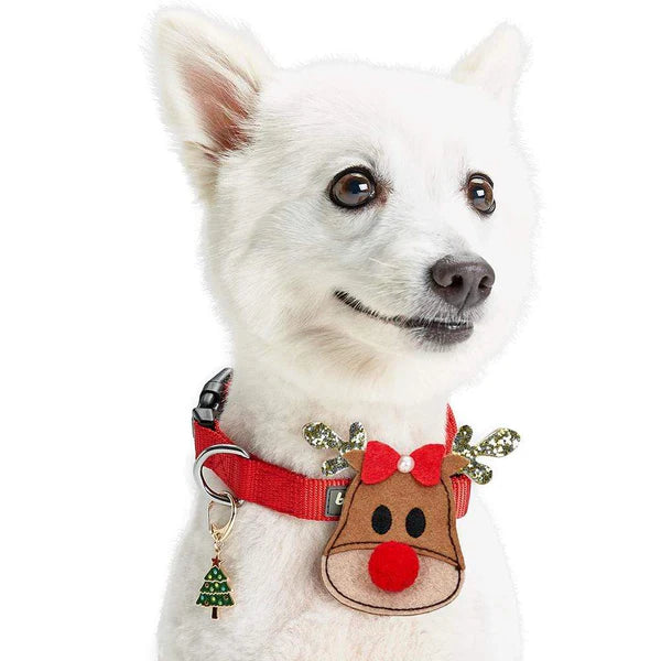 Christmas Collar Accessory Set