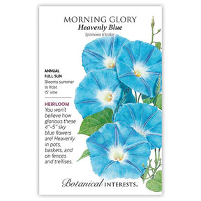 Morning Glory Heavenly Blue Seeds