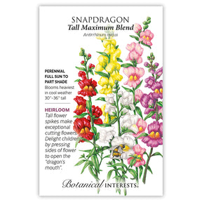 Snapdragon Tall Maximum Organic Seeds