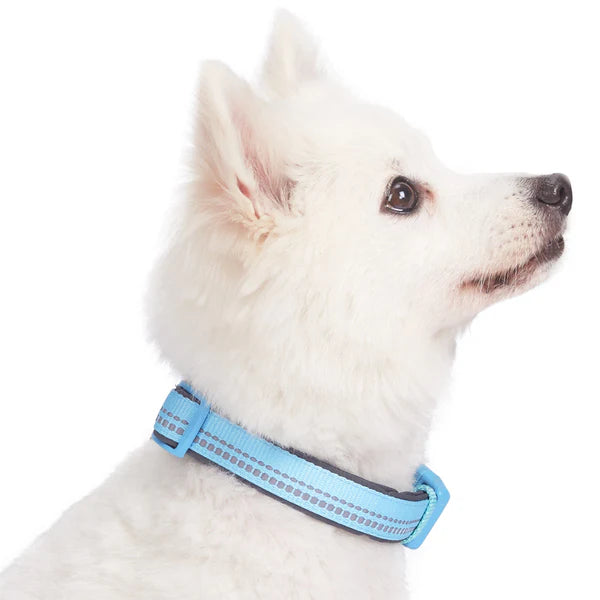 Baby Blue | 3M Reflective Padded Dog Collar