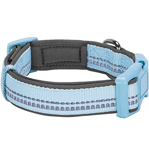 Baby Blue | 3M Reflective Padded Dog Collar