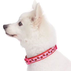 Lady Bug | Summer Vacation Dog Collar