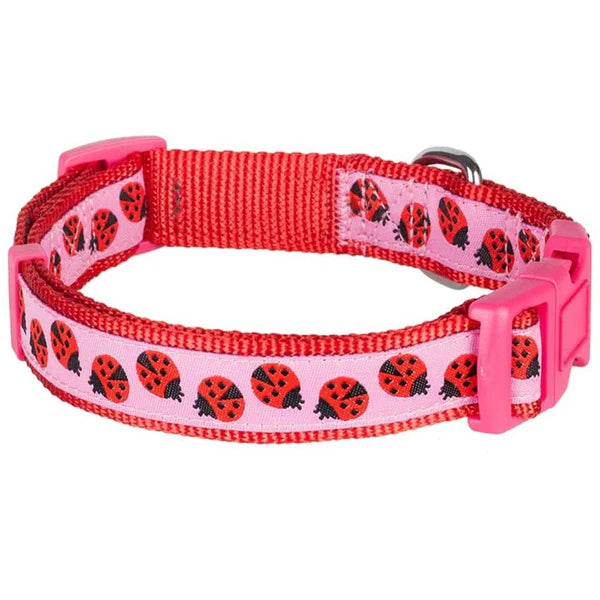 Lady Bug | Summer Vacation Dog Collar