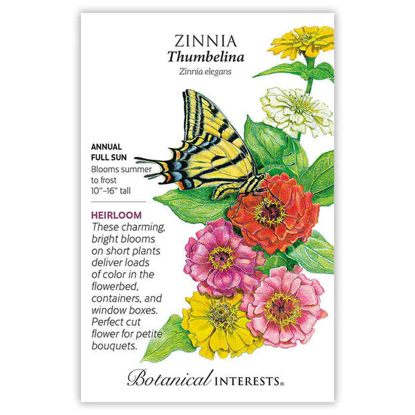 Zinnia Thumbelina Seeds