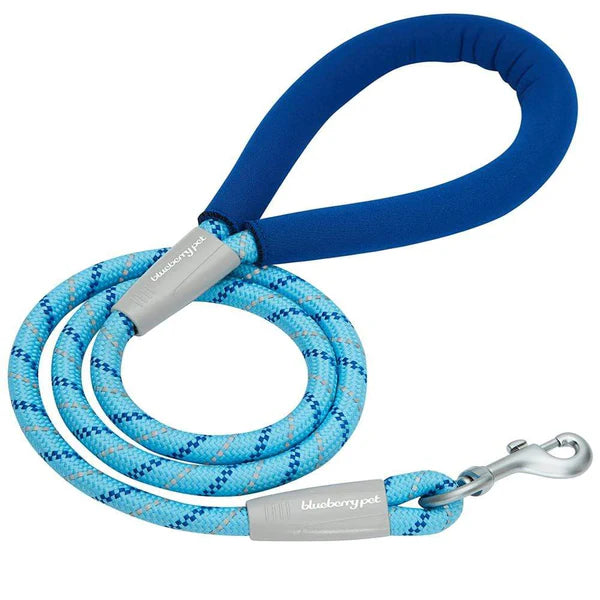 Neoprene Handle Rope Dog Leash in Diagonal Stripe