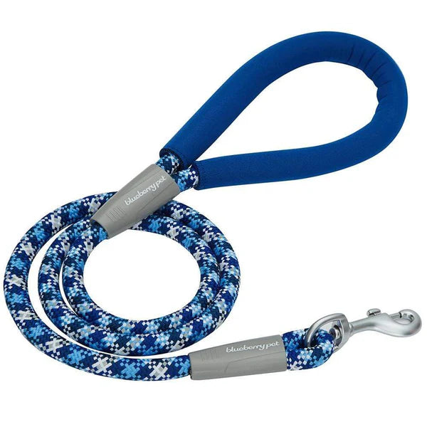 Neoprene Handle Rope Dog Leash in Diagonal Stripe