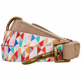 Multicolor Triangles | Shades of Rainbow Full Grain Leather & Polyester Webbing Dog Leash