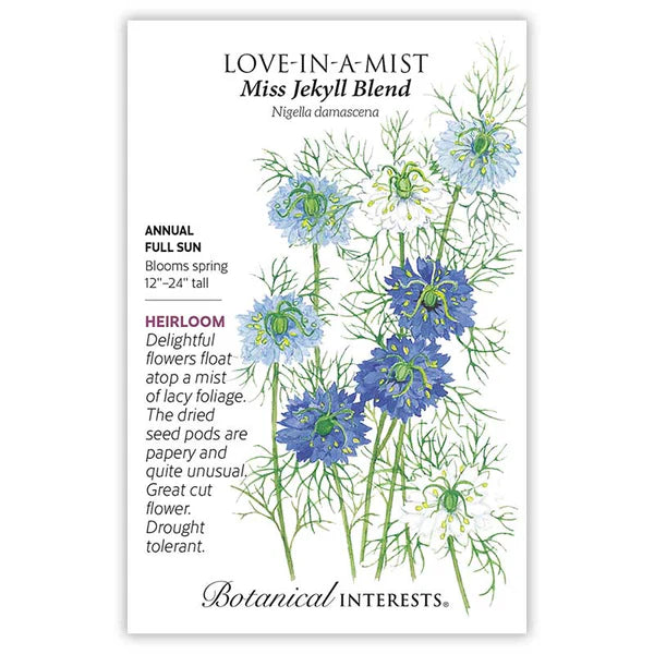 Love-in-a-Mist Jekyll Blend Seeds