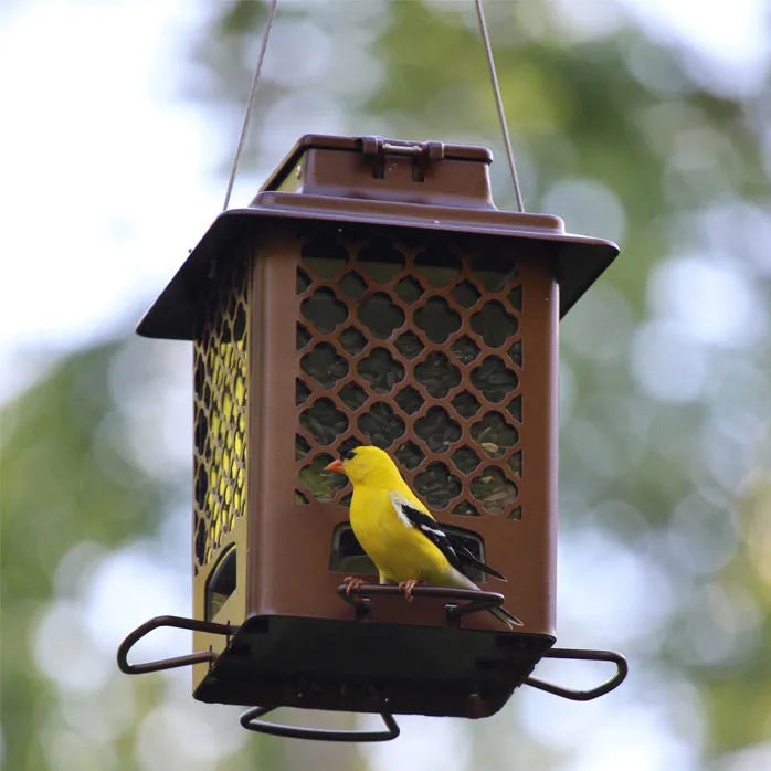 More Birds - Bronze Metal Hopper Bird Feeder