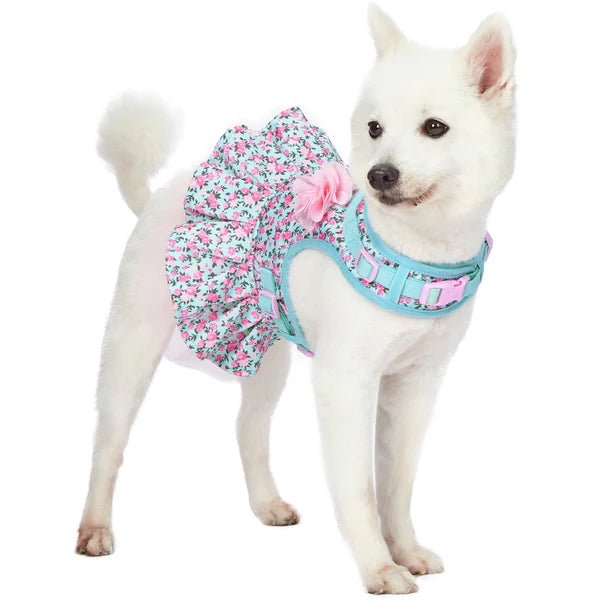 Light Blue | Made Well Floral Print Dog Dress Harness