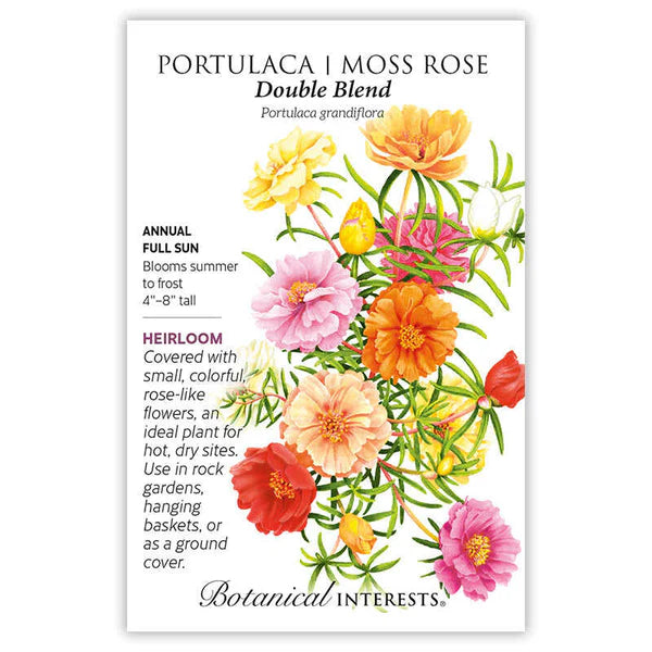 Portulaca Moss Rose Double Blend Seeds