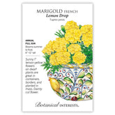 Marigold French Lemon Drop Seeds