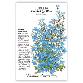 Lobelia Cambridge Blue Seeds