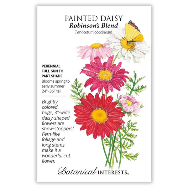 Painted Daisy Robinson's Blend Seeds