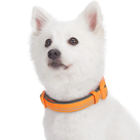 Orange Peel | 3M Reflective Neoprene Padded Dog Collar