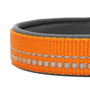 Orange Peel | 3M Reflective Neoprene Padded Dog Collar