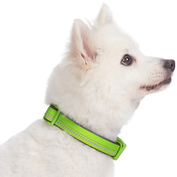 Green Flash | 3M Reflective Neoprene Padded Dog Collar