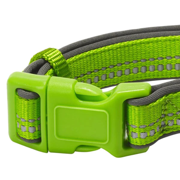 Green Flash | 3M Reflective Neoprene Padded Dog Collar