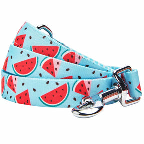 Slices of Watermelon | Zesty Fruit Dog Leash