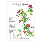 Cardinal Climber Seeds