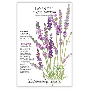 Lavender English Tall/Vera Seeds