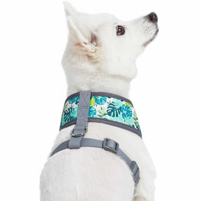 Bahamas Vacation Dog Harness Vest