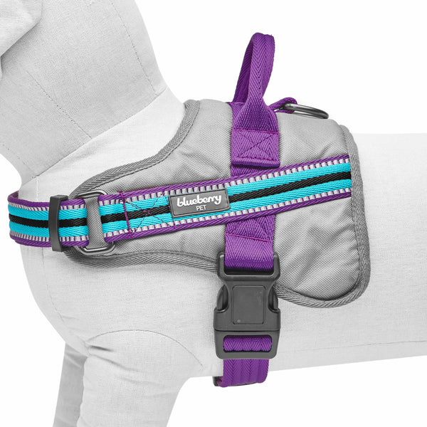 Violet and Celeste | Service K-9, 3M Reflective Dog Harness