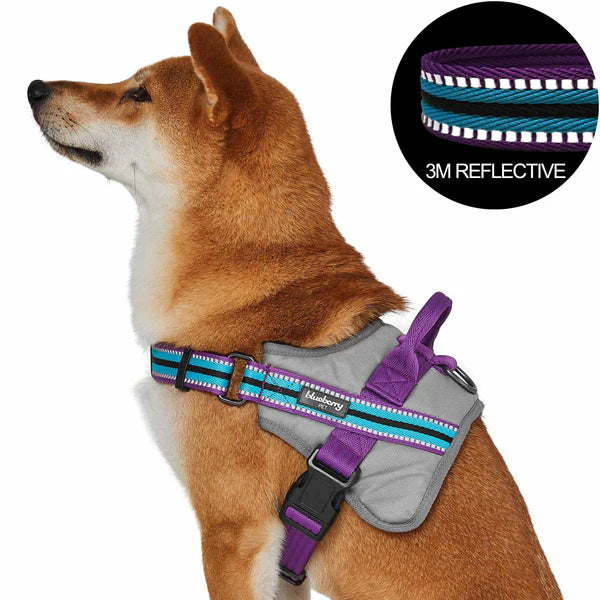 Violet and Celeste | Service K-9, 3M Reflective Dog Harness