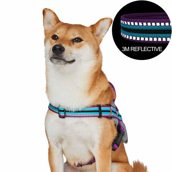 Violet and Celeste | Service K-9, 3M Reflective Dog Harness