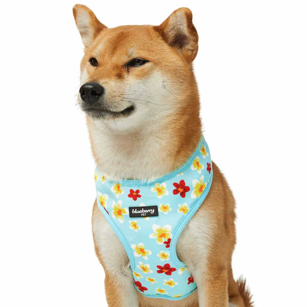 Celeste Blue | Tropical Yellow Plumeria Flower Dog Harness Vest